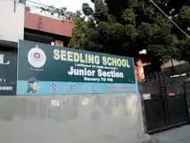 Seedling School Seedling School