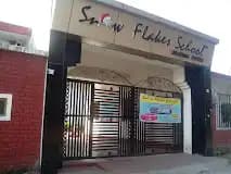 Snow Flake School Snow Flake School