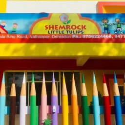 Shemrock Little World Shemrock Little World