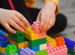 Minerva Academy Minerva Academy