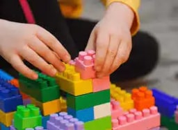 Minerva Academy Minerva Academy