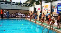 Shadley Public School Shadley Public School